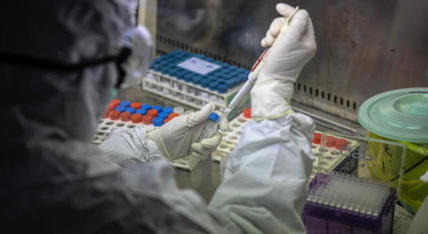 Coronavirus, vaccino italiano: ad aprile il primo risultato dei test