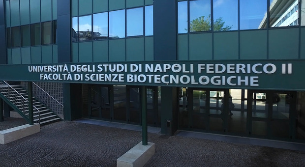 «Medicina Interna 4.0», venerdì 23 settembre a Napoli congresso dell’Università Federico II