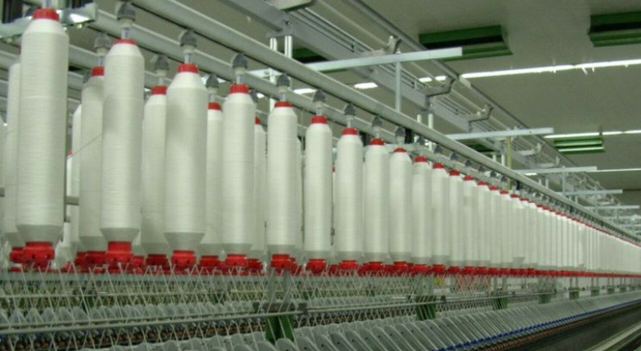 Uma nota recorde de 1,6 milhão de euros, a empresa têxtil Tirso colocou 270 funcionários em licença forçada