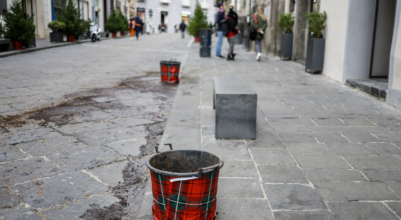 Natale a Napoli, rubati gli alberi di via Calabritto: «Una vergogna, non li ricompreremo»