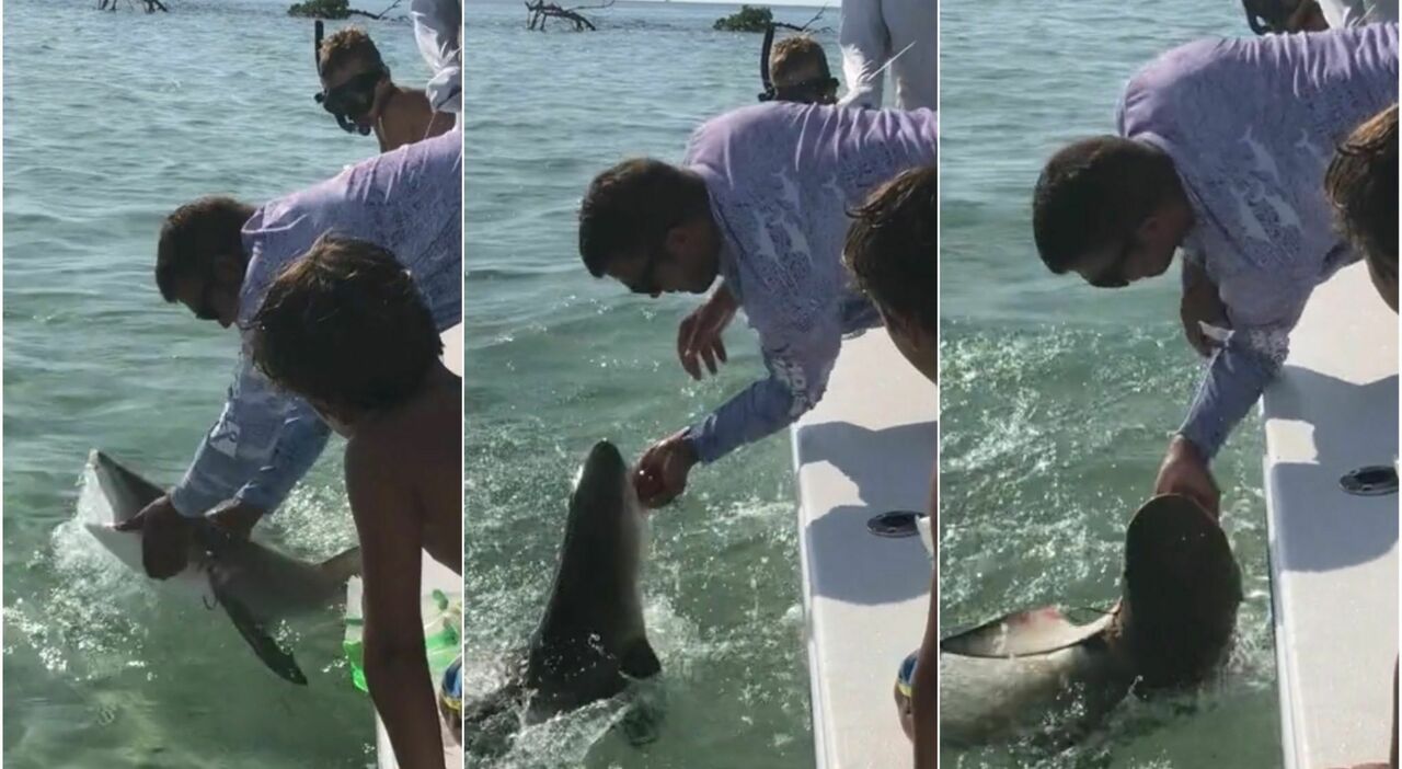 United States, fisherman attacked by a shark by separating his little finger: shocking photos on TikTok