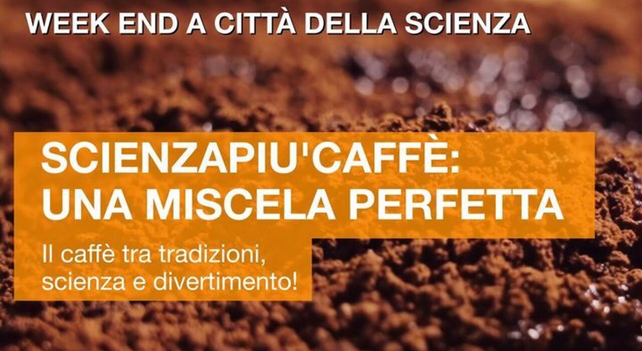 Citta della Senza presents “Bourbon Babies Lab”, a program dedicated to the study of coffee