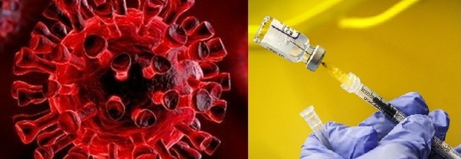 Omicron, lo studio cinese: «Ecco come la variante elude le terapie antivirali e i vaccini»