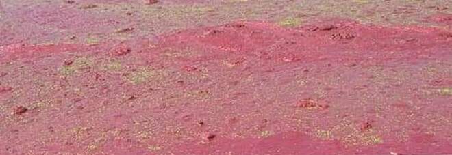 Il fiume Sarno si tinge di rosso al depuratore di Nocera Superiore