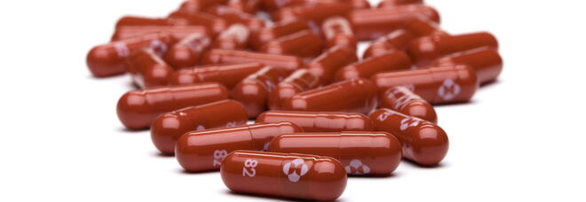 Pillola anti-Covid, l'Ema comincia valutazione del Molnupiravir: «Decisione in pochi giorni»
