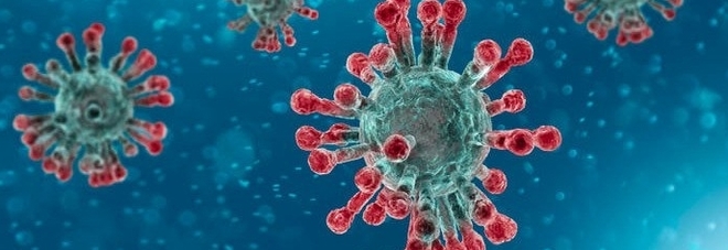 Coronavirus resiste nove giorni su superfici come metallo, vetro e plastica