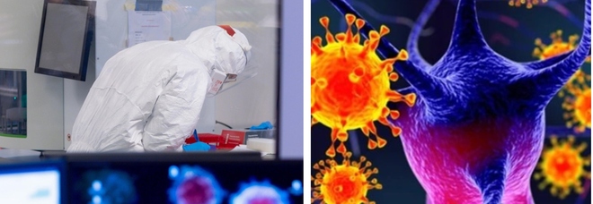 Nuovo virus potrebbe causare «un'altra pandemia», allarme scienziati: resiste a lungo sulle superfici