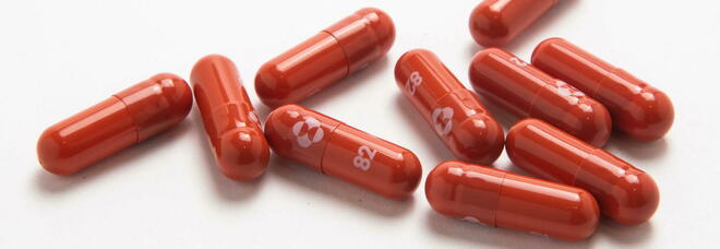 Covid, pillola Merck: la Gran Bretagna è il primo paese ad autorizzare l'antivirale