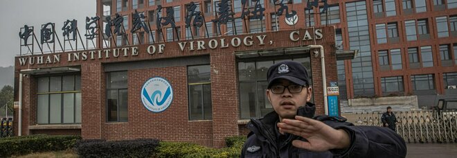 Covid, scienziati malati e pipistrelli spariti tutti i misteri dei laboratori di Wuhan
