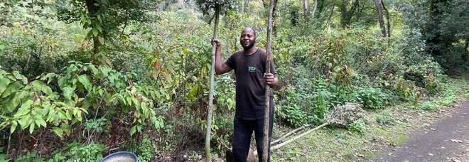 "Grazie Giuseppe!" Dal Niger agli Astroni a piantare alberi per la comunità