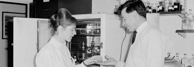 Jean Purdy, l'embriologa infermiera, che contribuì alle ricerche sulla fecondazioni in vitro