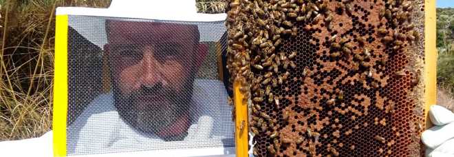 Gianluca Infante, 35 anni, apicultore