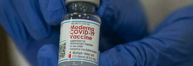 Variante Delta, vaccino Moderna risponde meglio di Pfizer: «L'efficacia sul contagio si riduce di meno»