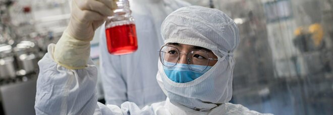 Covid a Napoli, i cinesi immuni al virus: il mistero del vaccino arrivato da Pechino