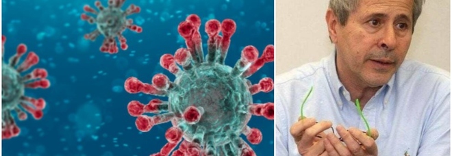 Omicron, Crisanti: «Il virus ormai va così veloce che ci penso lui a vaccinare tutti»