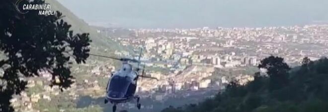 Piantagioni di droga sui monti Lattari, nuovi arresti tra Lettere e Pimonte