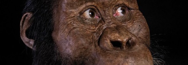 Realizzato in Italia il ritratto in 3D dell'antenato di Lucy, è un ominide di 4 milioni di anni fa