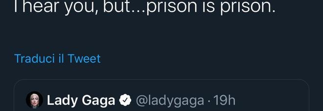 Amanda Knox attacca Lady Gaga su Twitter: «La prigione è la prigione»