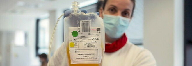 Il plasma iperimmune non funziona: «Stessa mortalità e progressione del Covid tra i malati». Il più grande studio mondiale