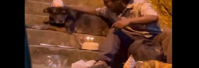 Un senzatetto festeggia il compleanno del suo cane con un cappellino da festa e una torta con le candeline e il Web si commuove - VIDEO