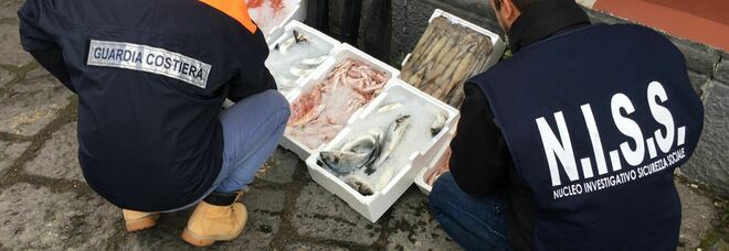 Cento chili di pescato sequestrato: blitz a Portici, multe da 1.500 euro