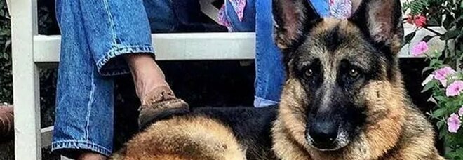 Biden annuncia la morta del suo cane Champ: «Mi mancherà»