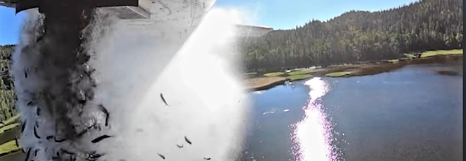 Il momento del lancio dei pesci dall'aereo. (Immagini e video pubbl su Fb da Utah Division of Wildlife Resources)
