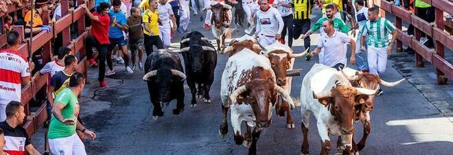 Uomo morto incornato alla corsa dei tori dei Spagna: è la prima volta dopo la pandemia