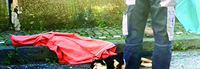 Cagnolino ucciso da due cani: azzannata anche la padrona