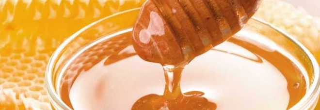 Un cucchiaino di miele è un toccasana. Ecco quando mangiarlo