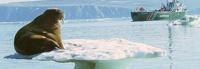 Artico caldo, i ghiacci si sciolgono: è allarme per case e industrie. Permafrost libera tonnellate di anidride carbonica