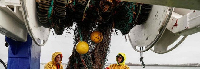Commissione, Regno Unito sta violando accordi su pesca
