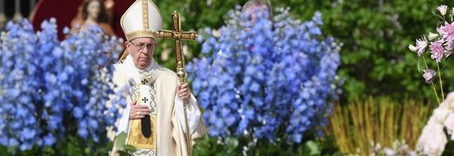 Pasqua, l'Olanda manda in Vaticano 50 mila tulipani e orchidee per la messa a San Pietro