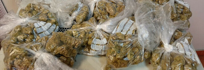 Rione Sanità, arrestato 29enne: sorpreso 895 grammi di marijuana in casa