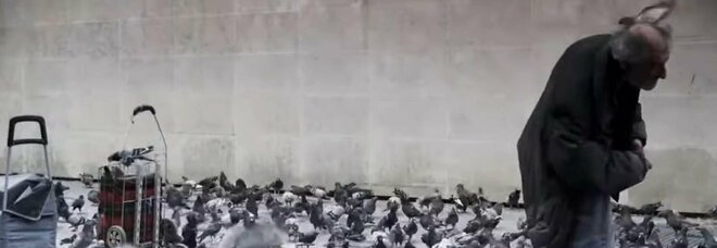 Parigi, muore il clochard italiano dei piccioni: ex commercialista, aveva dedicato la vita agli uccelli