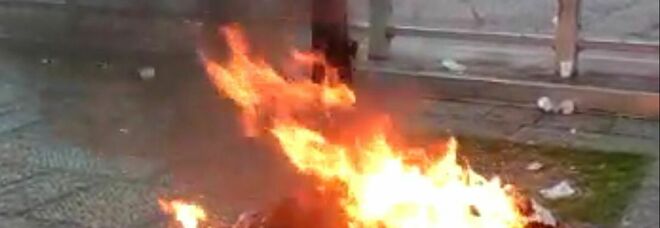 Piazza Garibaldi, incendiato un albero: «Salvo per miracolo, serve un presidio fisso»
