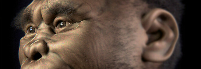 nell foto ricostruzione dell'Homo floresiensis tratta da Wikimedia Commons,