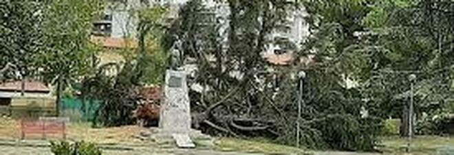 Tragedia sfiorata a Battipaglia: albero cade nella villa comunale