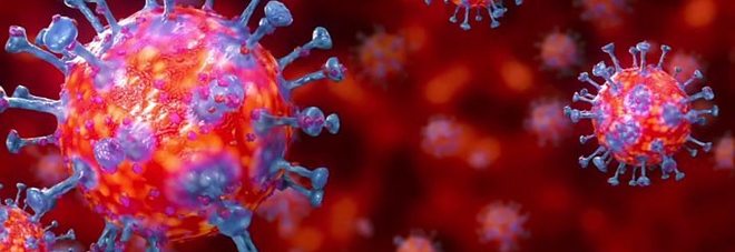 Coronavirus, l'intelligenza artificiale di Salerno trova la firma genetica del virus