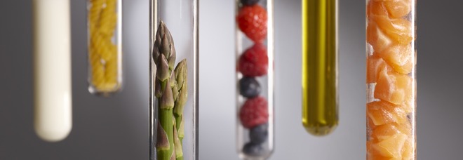 Salame di lumache e cioccolato all'aceto di kiwi: nascono in provetta i nuovi saporti al Food innovation Lab di Bracciano