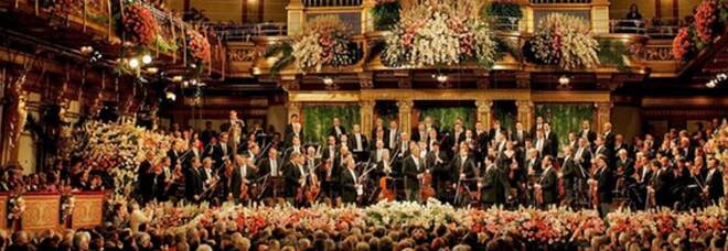 Concerto di Capodanno a Vienna diretta live streaming adesso Dirige il maestro Barenboim