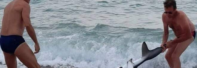 Lo squalo fuori dall'acqua a Gonnesa (immag diffuse da Sardegna Live)