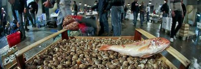 Pozzuoli, la «guerra» dei tesserini Minacce al mercato ittico