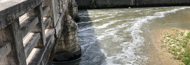 Schiuma, moria di pesci e colture danneggiate: rilevata una scarsa presenza di ossigeno nel fiume Liri