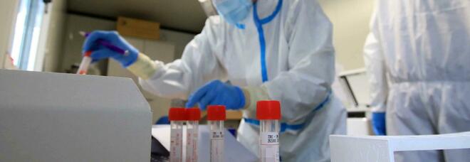 La Cina testerà migliaia di campioni di sangue di Wuhan per scoprire l'origine del virus