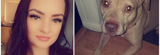 Ragazza sbranata e uccisa dal cane: il fratello le aveva regalato l'animale per il suo percorso di cura