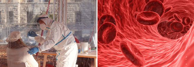 Il Covid aumenta il rischio di coaguli nel sangue "fatali" fino a sei mesi dopo l'infezione