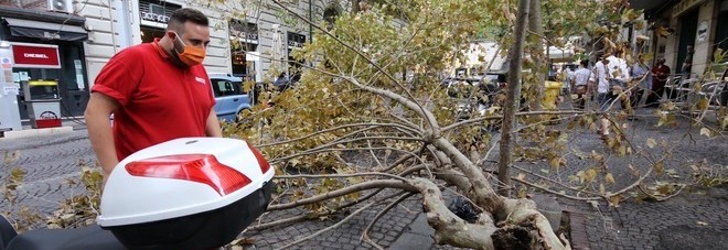 Bomba d'acqua a Napoli, alberi crollano sulle auto in sosta al Vomero