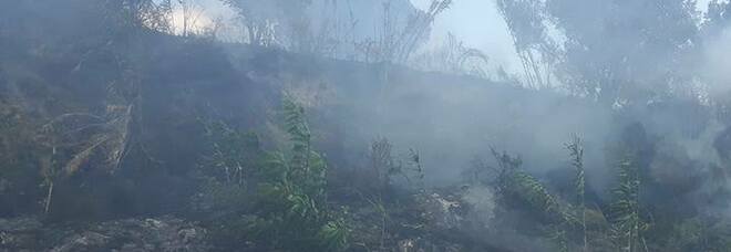 A Bacoli un’ordinanza contro gli incendi boschivi, multe per i trasgressori