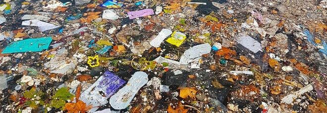 Napoli, paradiso violato alla Gaiola: rifiuti e liquami in mare